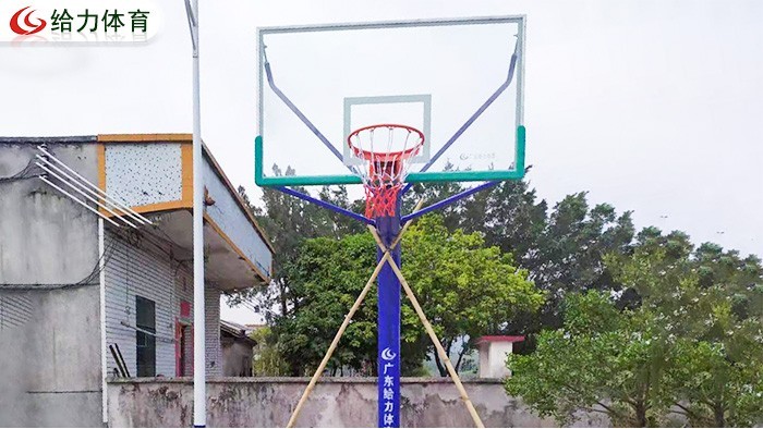 篮球架厂家哪个好